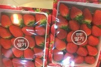 백O선님 싱싱한 딸기 감사합니다^^	